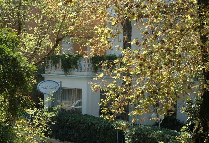 酒店 Pensione Ornella