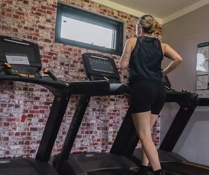 مُتل Oasis Newman