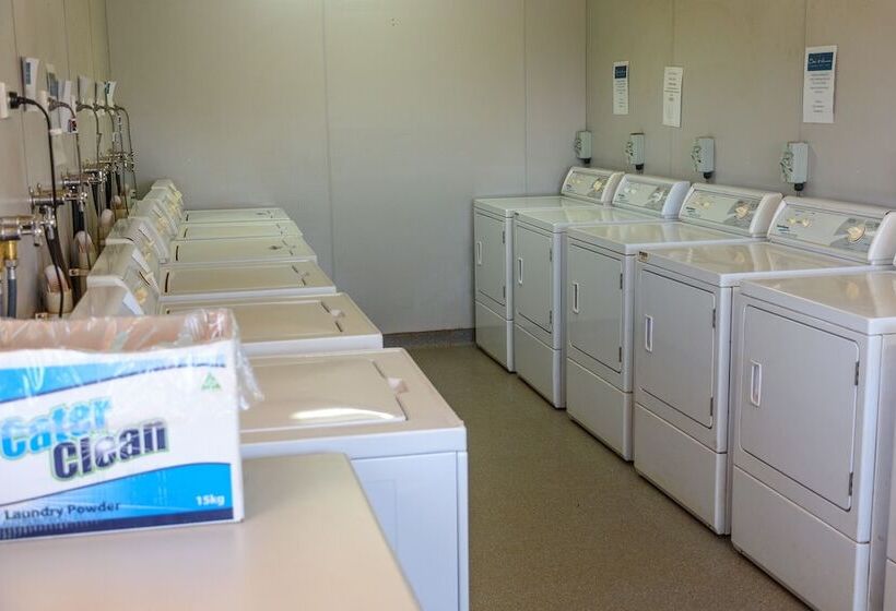 Мотель Oasis Newman