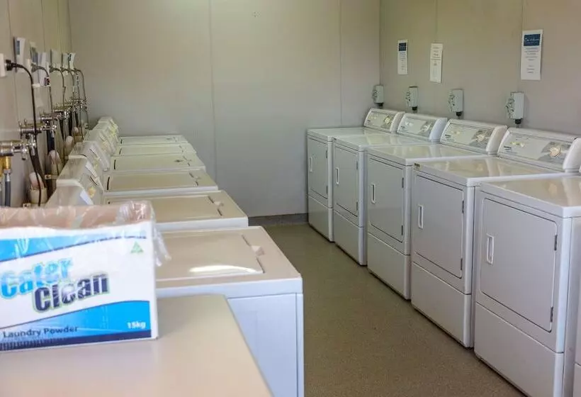 مُتل Oasis Newman