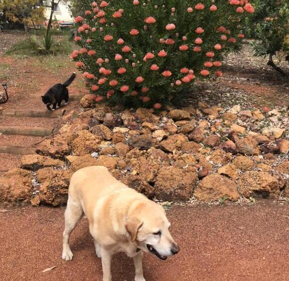 Thistle Do Bed And Breakfast