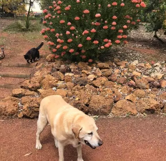 Thistle Do Bed And Breakfast