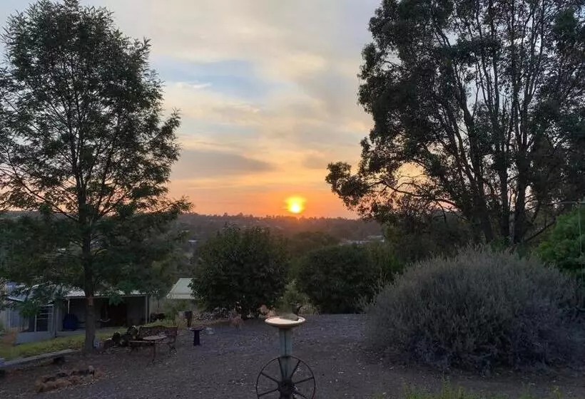 Thistle Do Bed And Breakfast