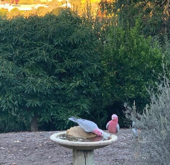 Thistle Do Bed And Breakfast