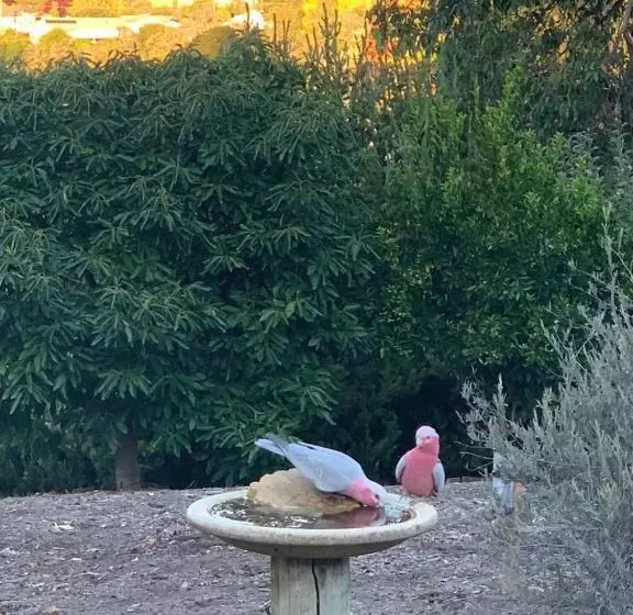 Thistle Do Bed And Breakfast