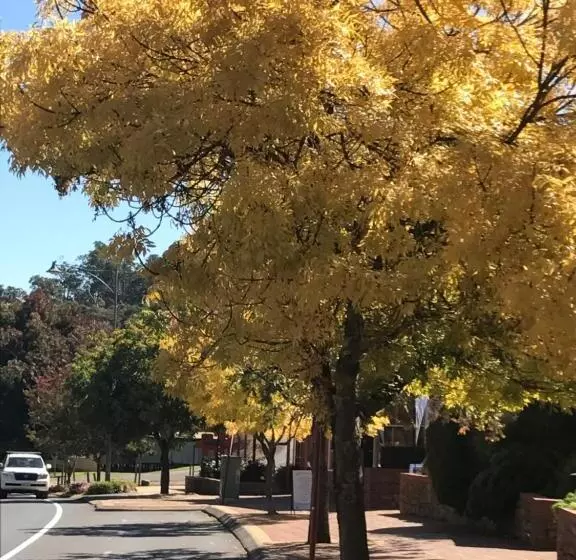 Thistle Do Bed And Breakfast