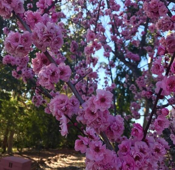 Thistle Do Bed And Breakfast