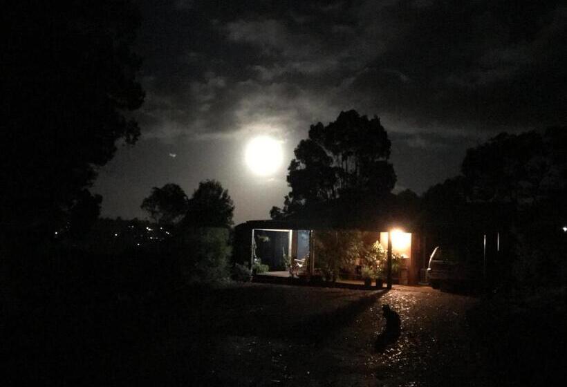 Thistle Do Bed And Breakfast