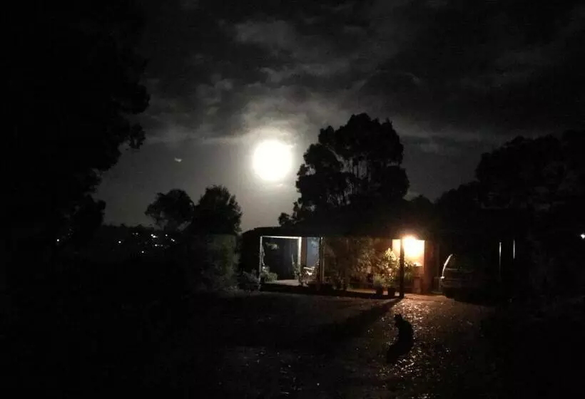 Thistle Do Bed And Breakfast