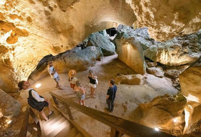 הוסטל Rockhampton Backpackers Yha