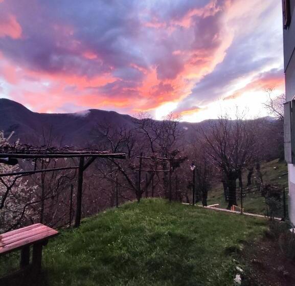 Отель Albergo Ristorante La Selva