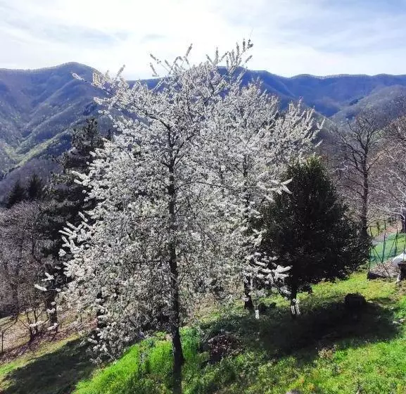Hotelli Albergo Ristorante La Selva