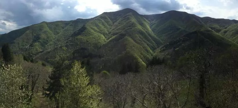 Hotelli Albergo Ristorante La Selva