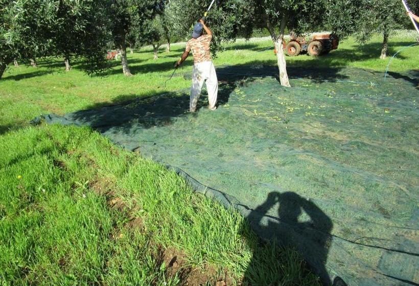 فندق Villa Maria