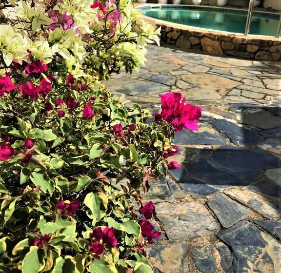 فندق على الطريق Cairns Motor Inn