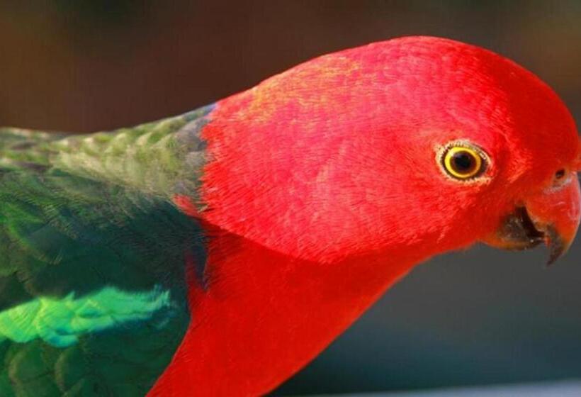 모텔 Marysville Holiday Park