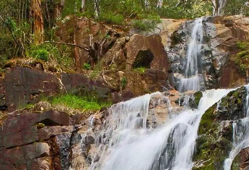 モーテル Marysville Holiday Park