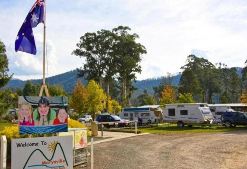 모텔 Marysville Holiday Park