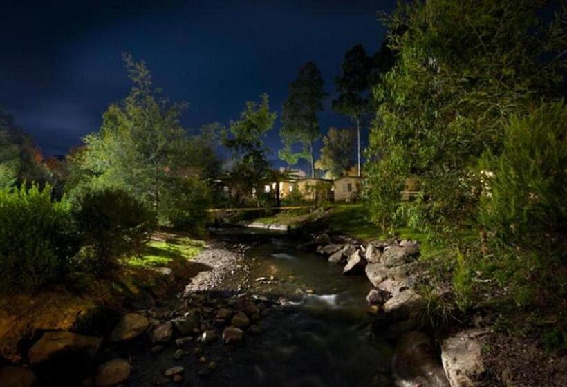 모텔 Marysville Holiday Park