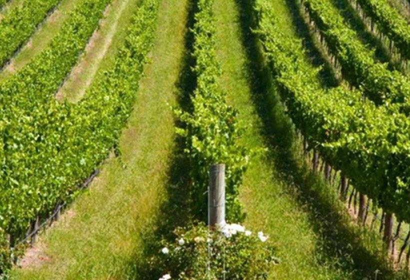 모텔 Marysville Holiday Park