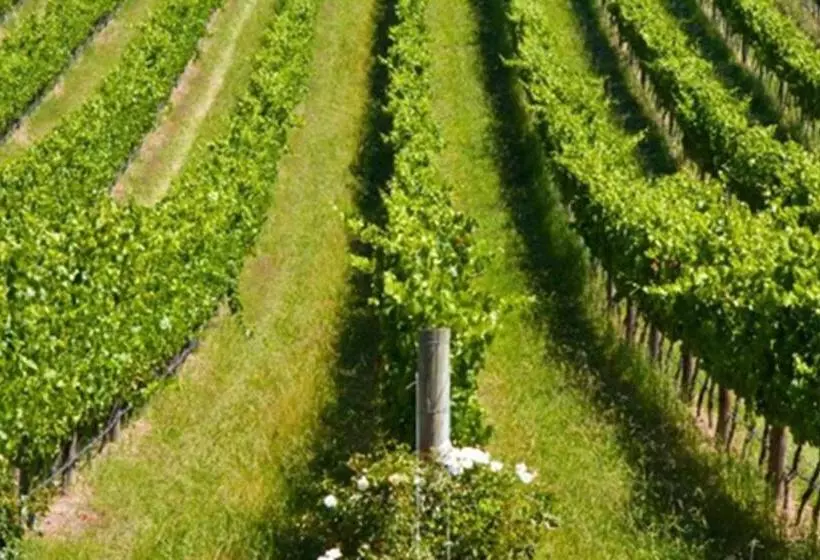 モーテル Marysville Holiday Park