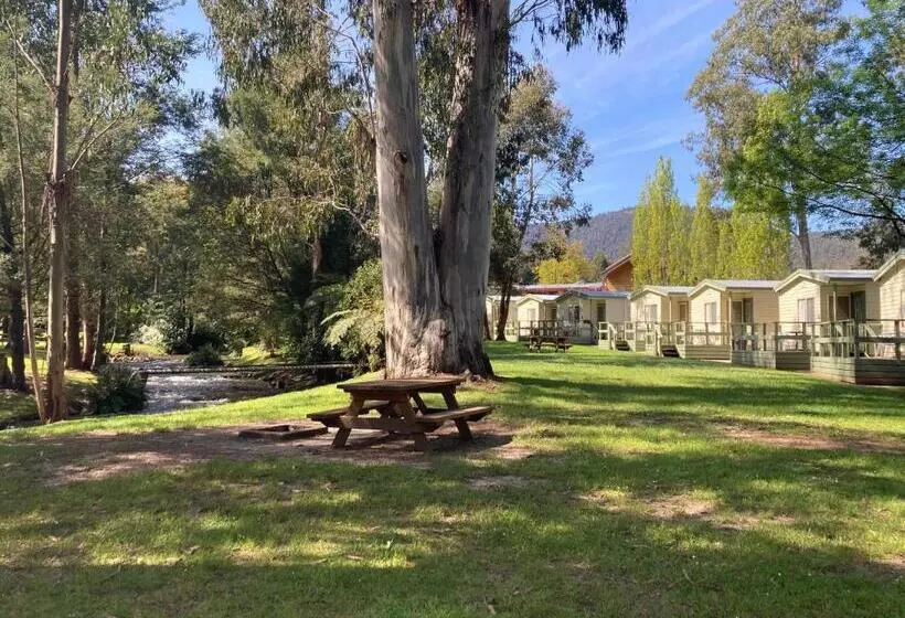 モーテル Marysville Holiday Park