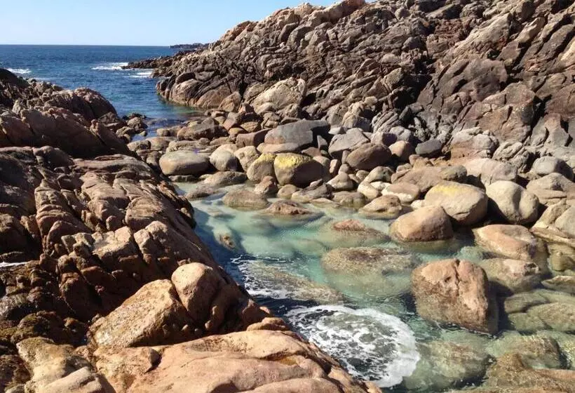 پانسیون Bed + Bauhaus