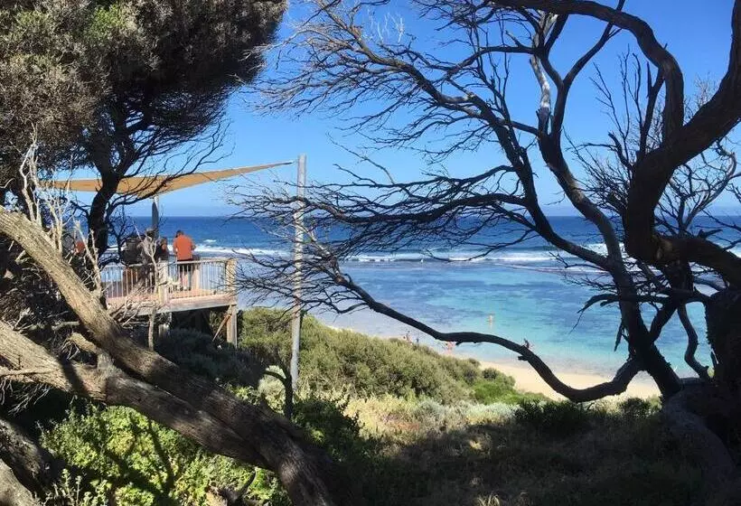 پانسیون Bed + Bauhaus