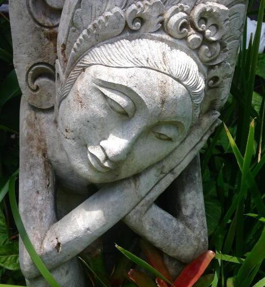 Пансион Butterfly Studio