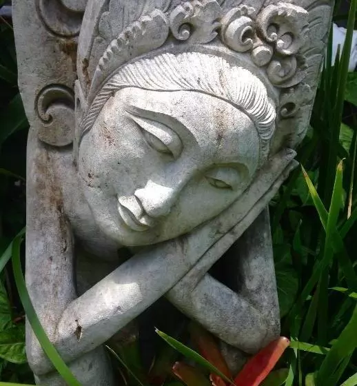 Pensió Butterfly Studio