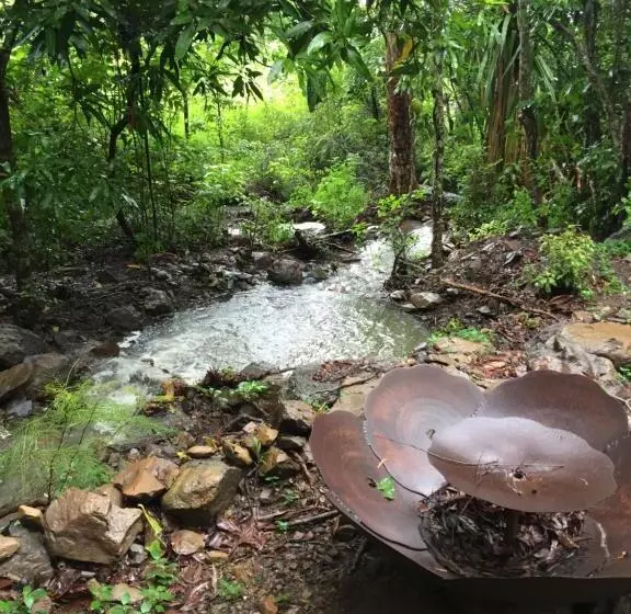 Pensió Butterfly Studio