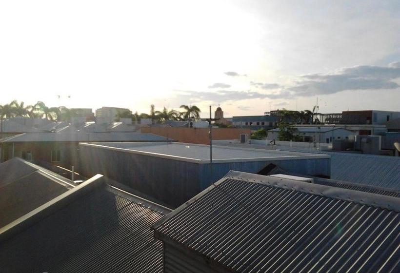 Hostel Gecko's Rest Budget Accommodation & Backpackers