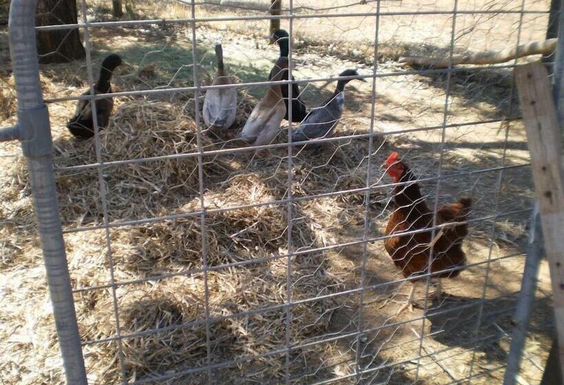 住宿加早餐  The Grandhouse York