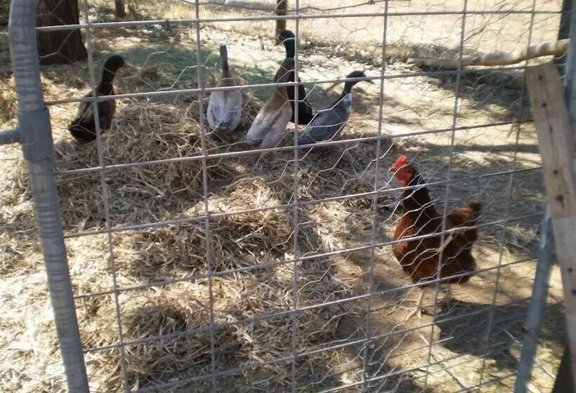 ベッドアンドブレックファースト The Grandhouse York