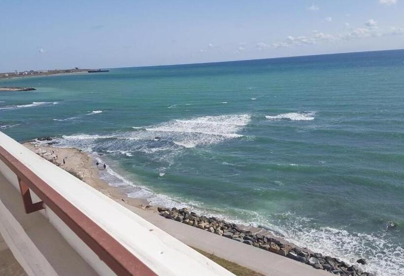 בית מלון כפרי Forum