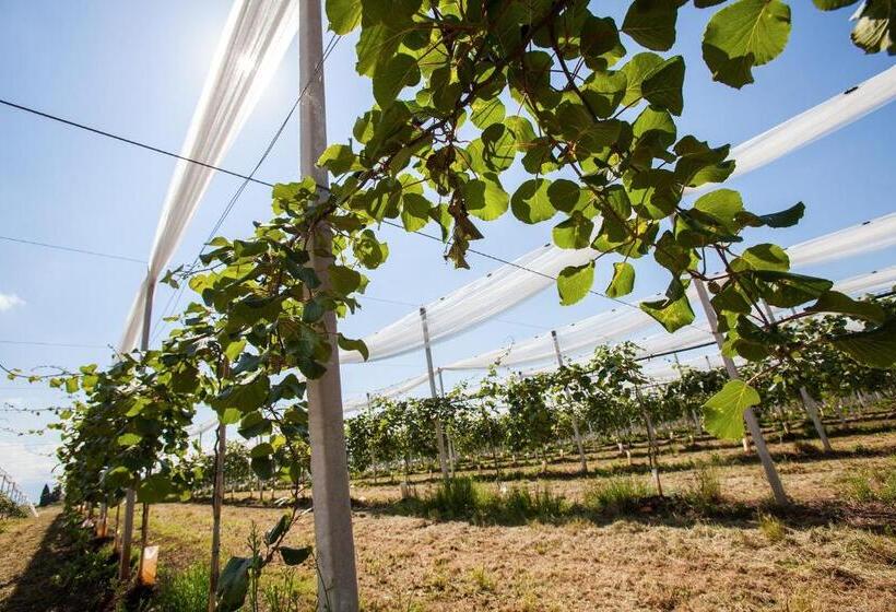 בית מלון כפרי I Casali Della Parata