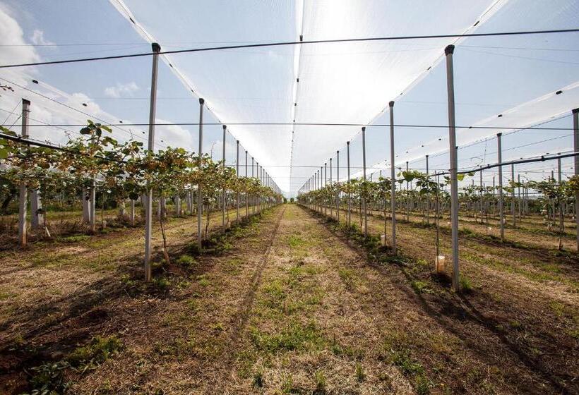 בית מלון כפרי I Casali Della Parata