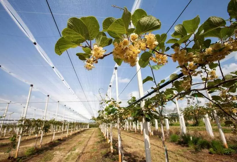 Hotelli I Casali Della Parata