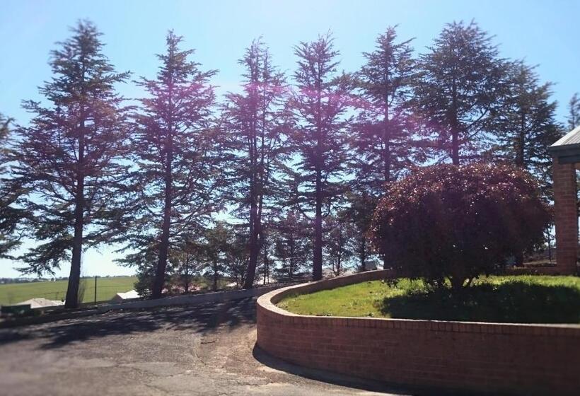 מוטל Bathurst Gold Panner