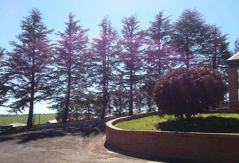 Motelli Bathurst Gold Panner