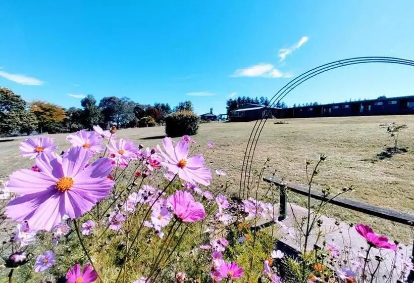 Motelli Bathurst Gold Panner