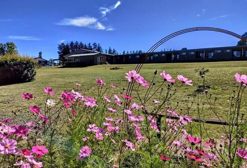 Motelli Bathurst Gold Panner