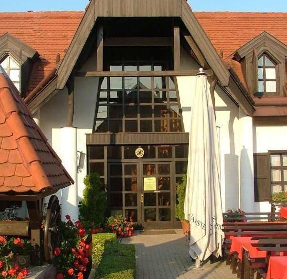 Pensionat Agas Vendeghaz