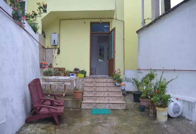 پانسیون Akhmed Guest House