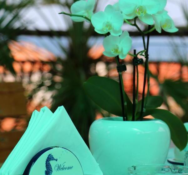 پانسیون Guest House Kostadinovi