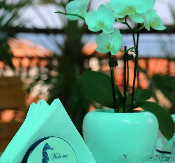 پانسیون Guest House Kostadinovi