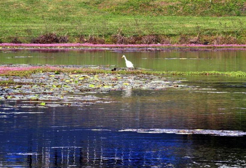 بنسيون Mccarthy Lake House