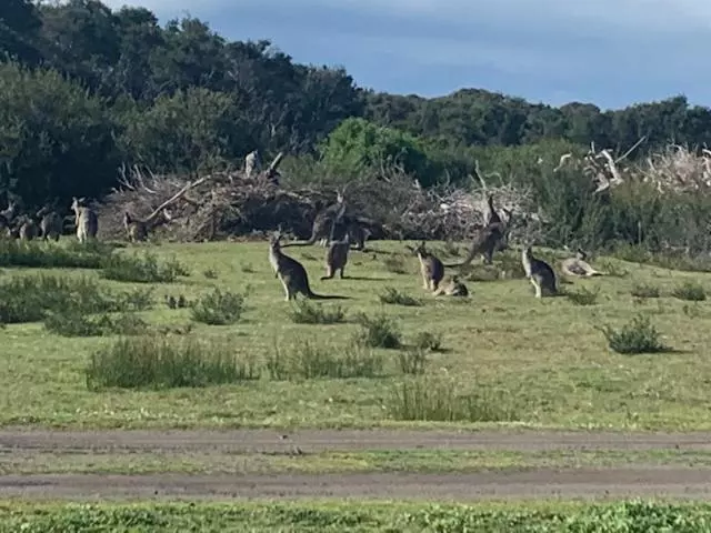 リゾートホテル Broadbeach Inverloch