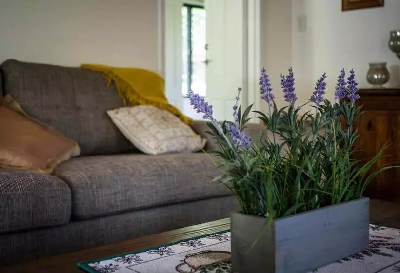 Rondayvoo Bed & Breakfast