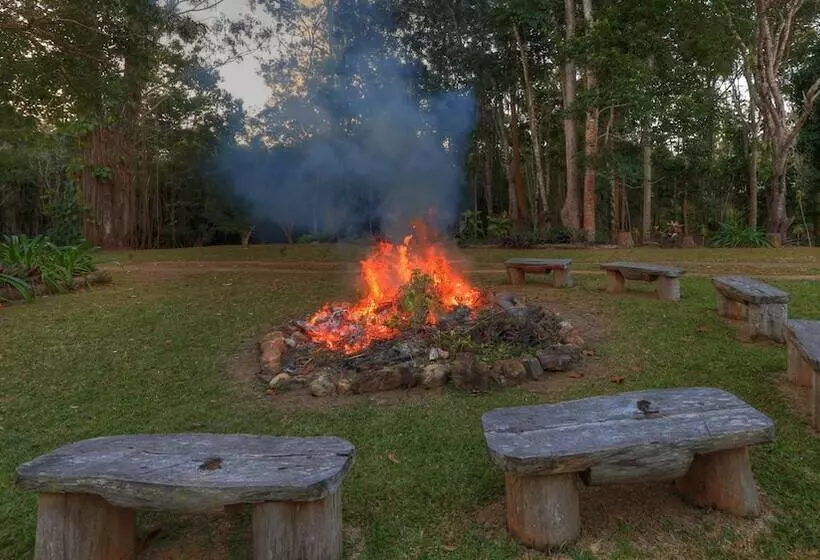 Rondayvoo Bed & Breakfast